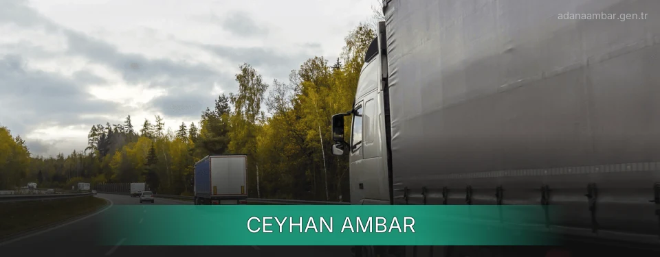 Ceyhan Ambar