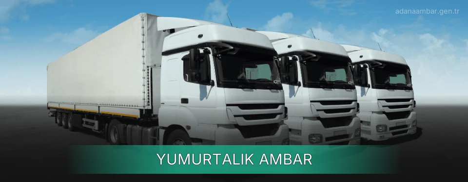 Yumurtalık Ambar Kargo